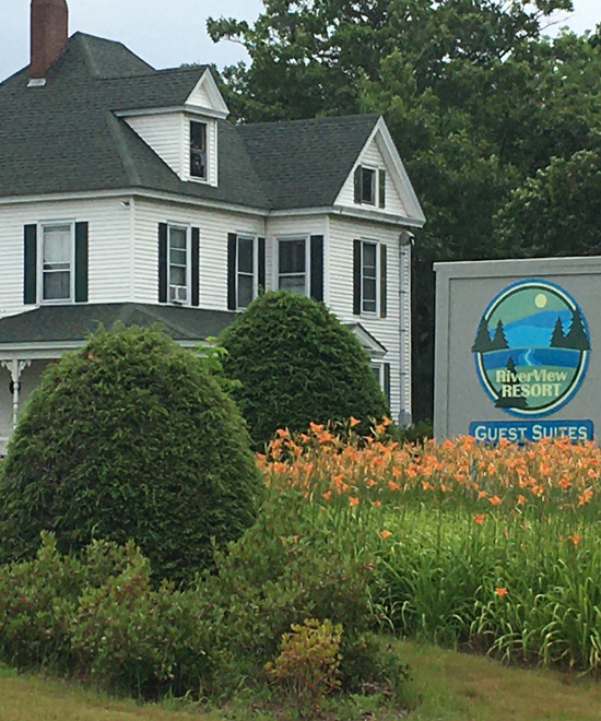 River View in July with Daylilies